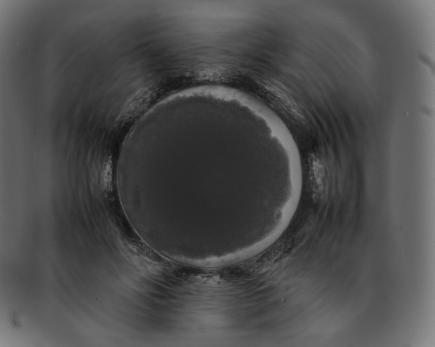 X0000092060502200710101036