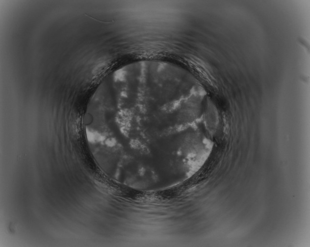 X0000092060503200710101036