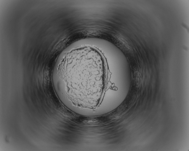 X0000092060506200710101036