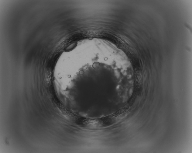 X0000092060507200710101036