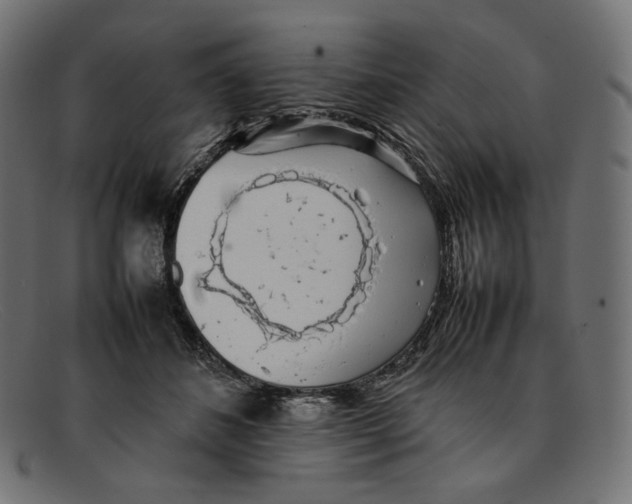 X0000092060508200710101036