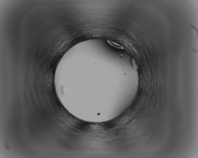 X0000092060509200710101036