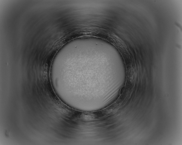 X0000092060510200710101036