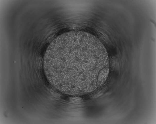 X0000092060511200710101036