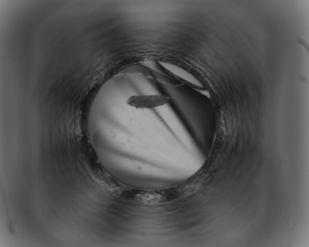 X0000092060512200710101036