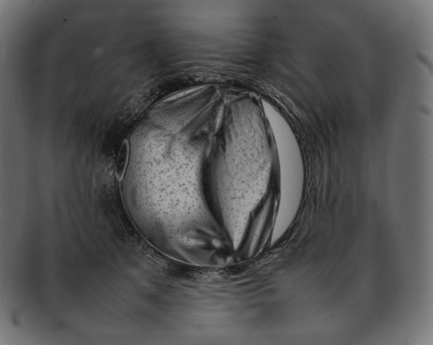 X0000092060513200710101036