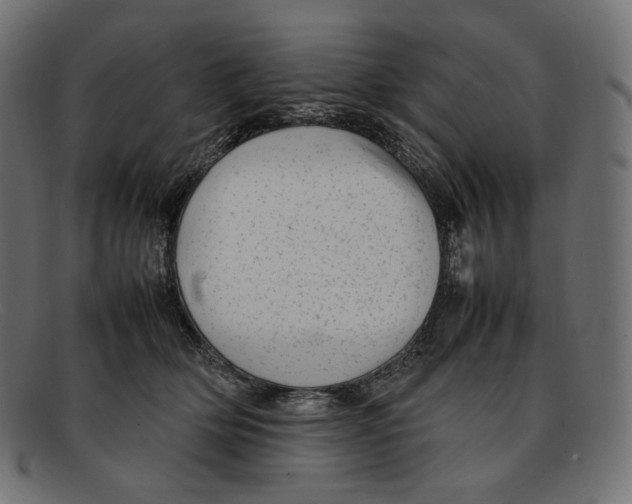 X0000092060514200710101036