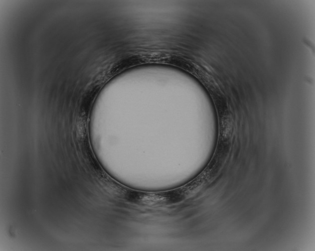 X0000092060515200710101036