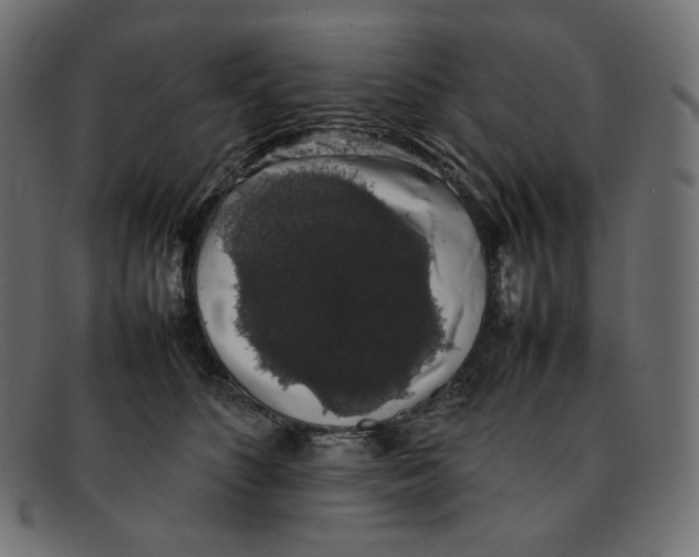 X0000092060516200710101036