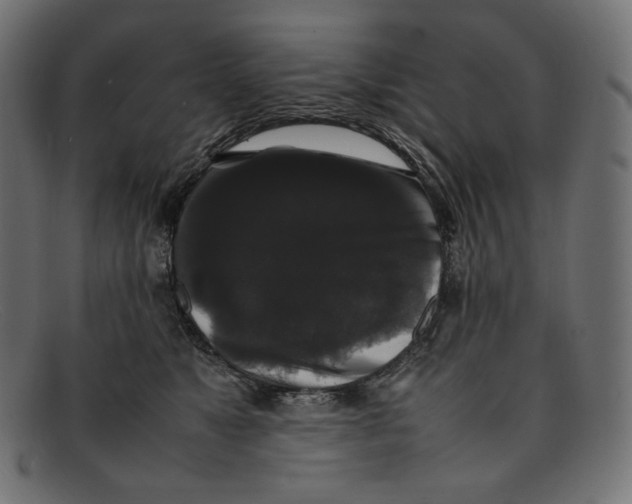 X0000092060517200710101036