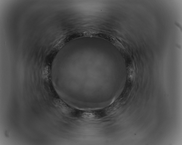 X0000092060519200710101036