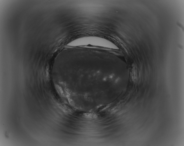 X0000092060520200710101036