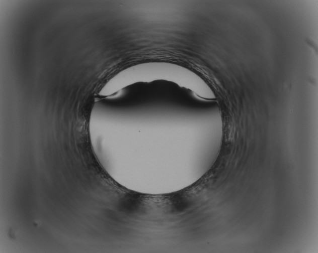 X0000092060521200710101036