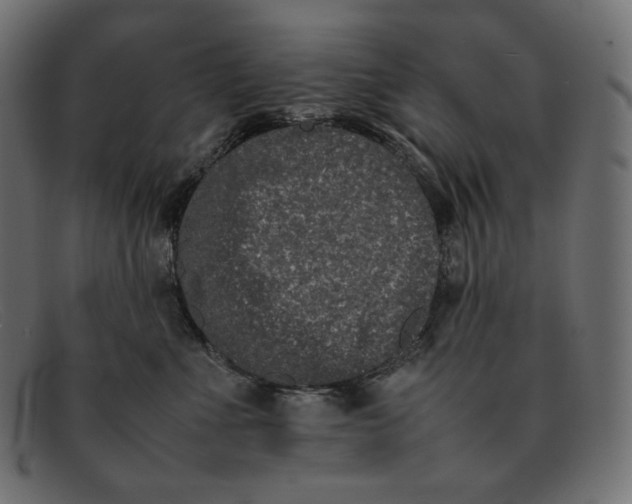 X0000092060523200710101036