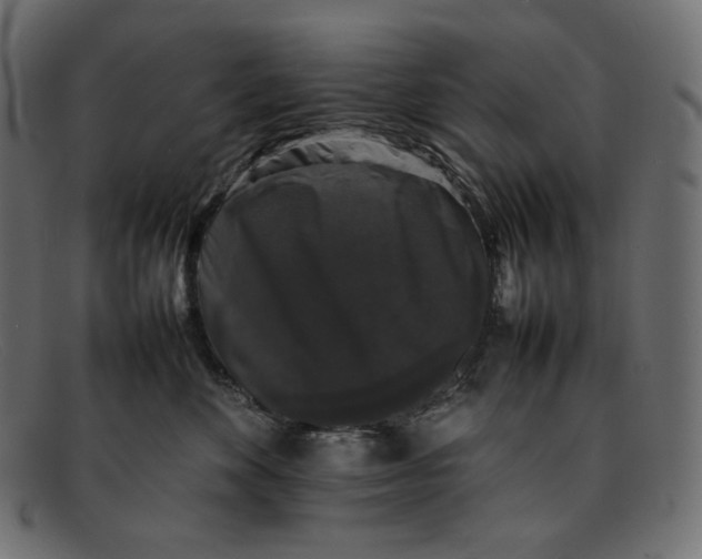 X0000092060524200710101036