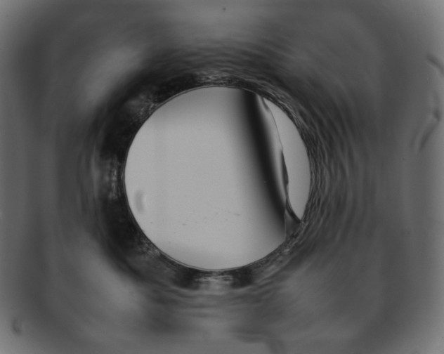 X0000092060525200710101036