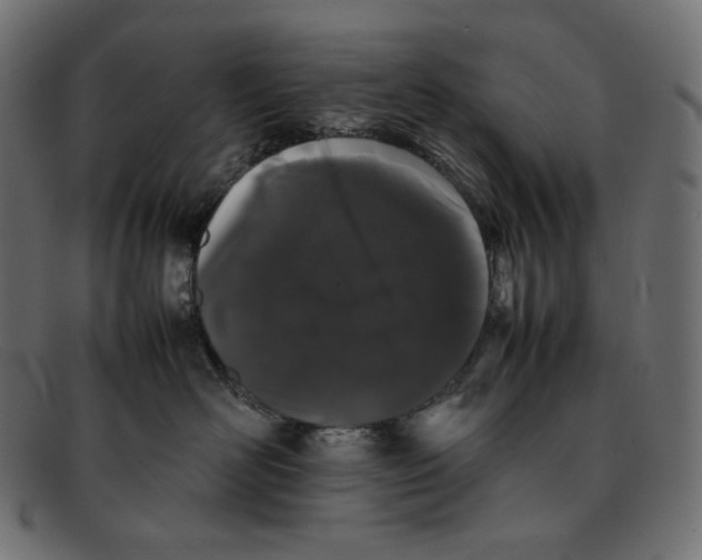 X0000092060526200710101036