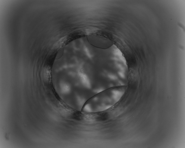 X0000092060527200710101036