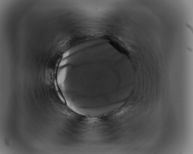 X0000092060528200710101036