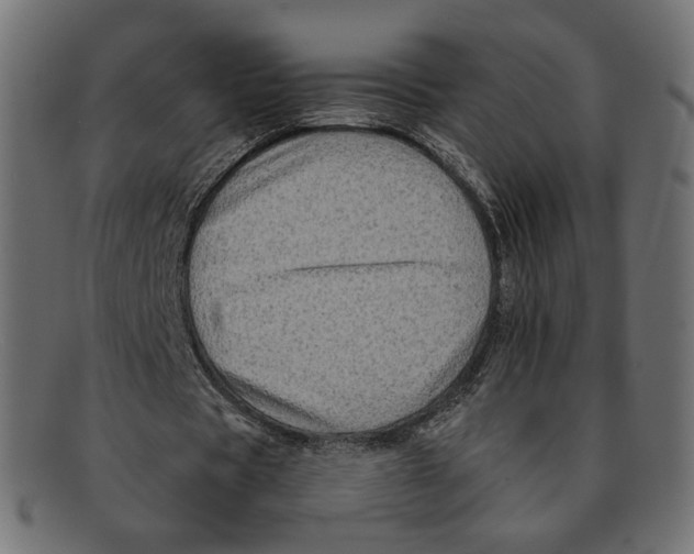 X0000092060529200710101035