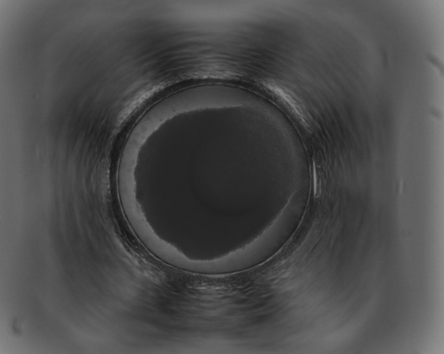 X0000092060531200710101035