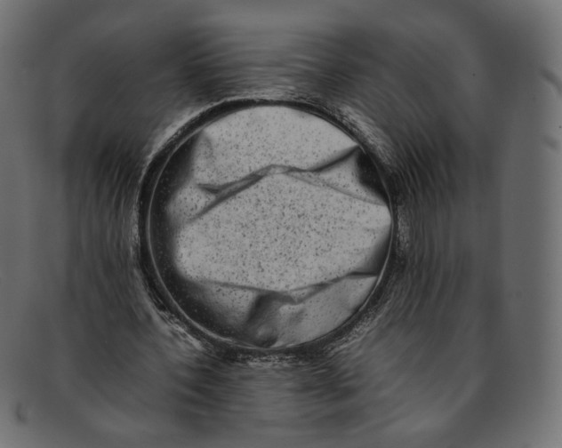 X0000092060532200710101035