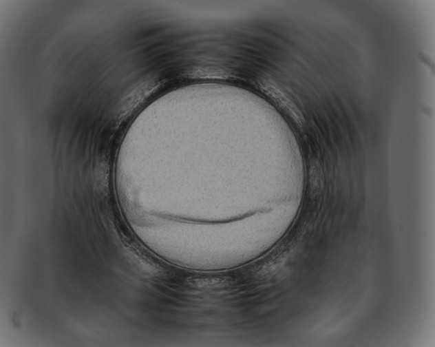 X0000092060533200710101035