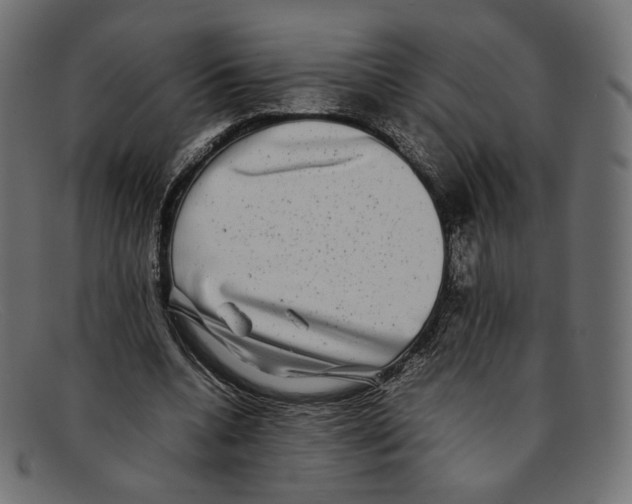 X0000092060536200710101035