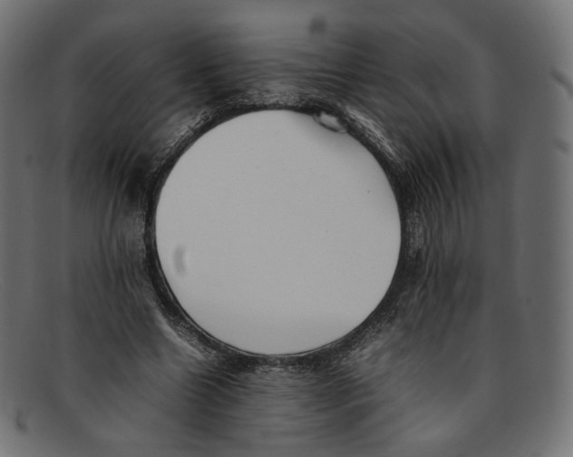 X0000092060538200710101035