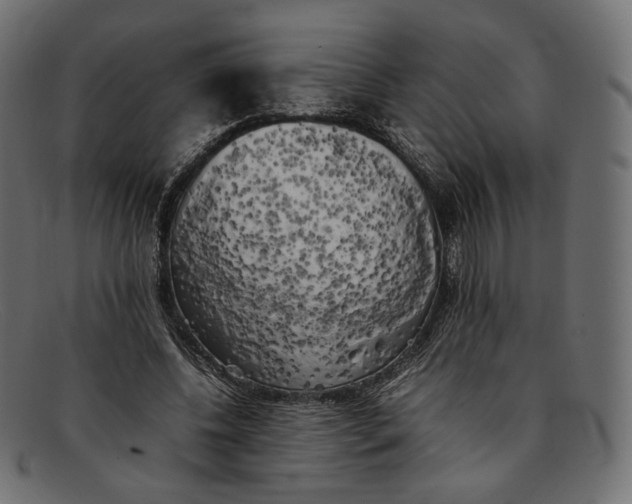 X0000092060540200710101035