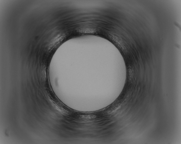 X0000092060541200710101035