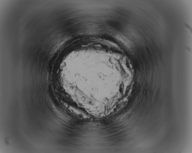 X0000092060542200710101035