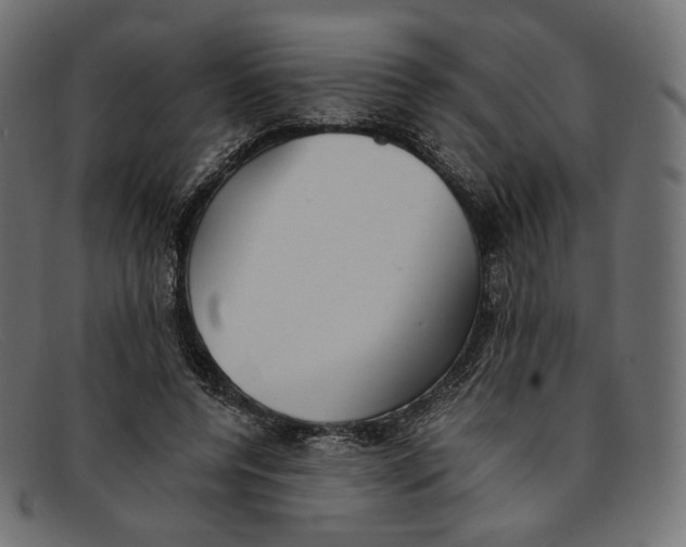 X0000092060544200710101035