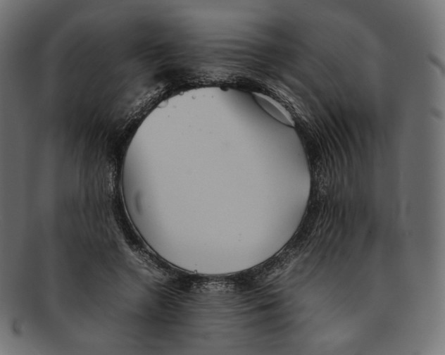 X0000092060546200710101036