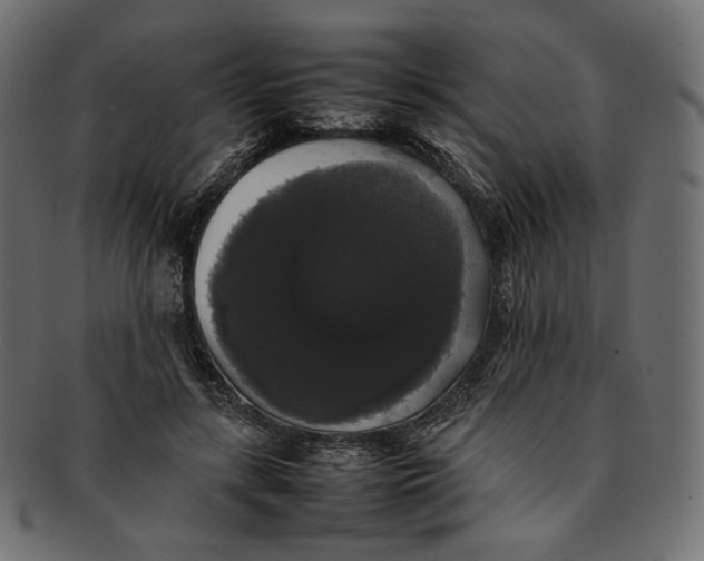 X0000092060547200710101036