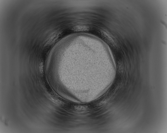 X0000092060549200710101036