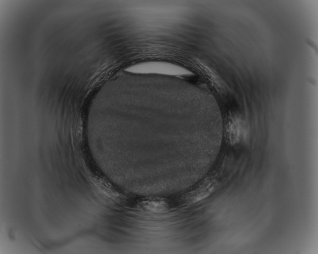 X0000092060552200710101036