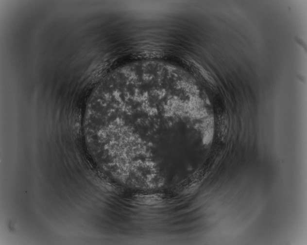 X0000092060553200710101036