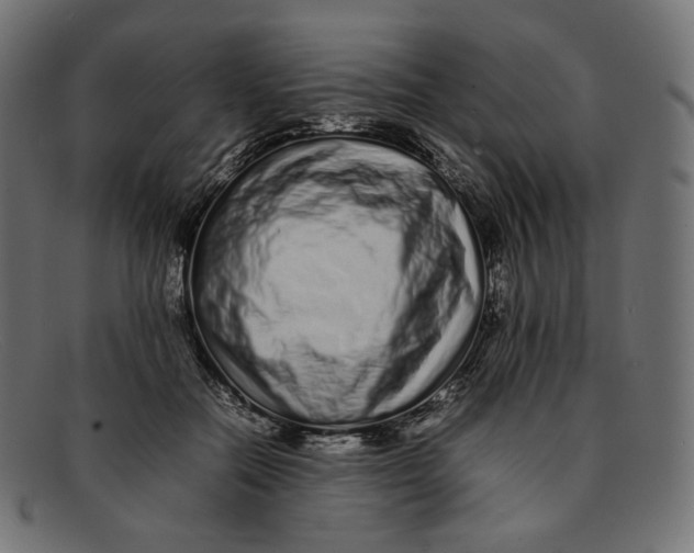 X0000092060554200710101036