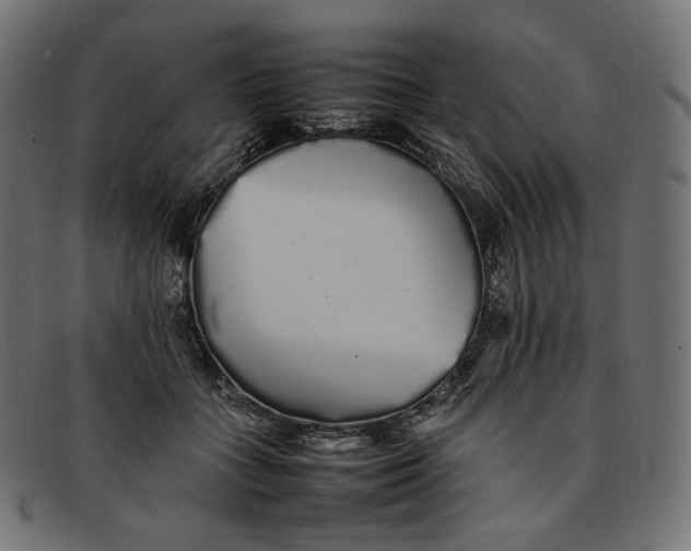 X0000092060555200710101036