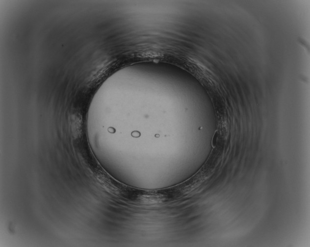 X0000092060556200710101036