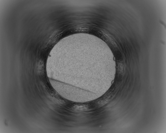 X0000092060557200710101036