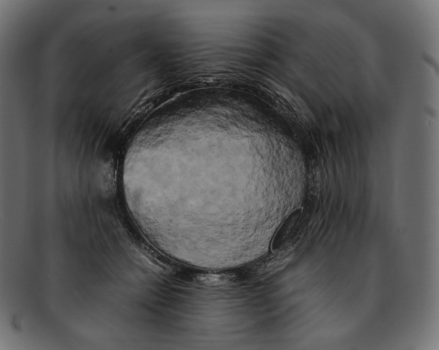 X0000092060558200710101036