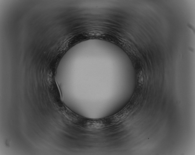 X0000092060559200710101036