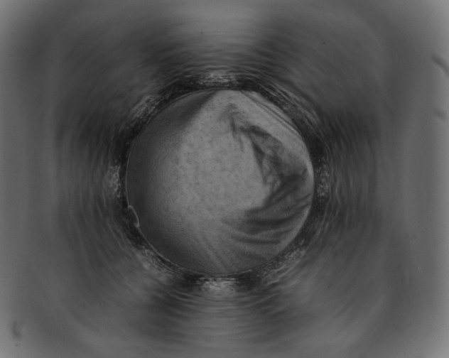 X0000092060560200710101036