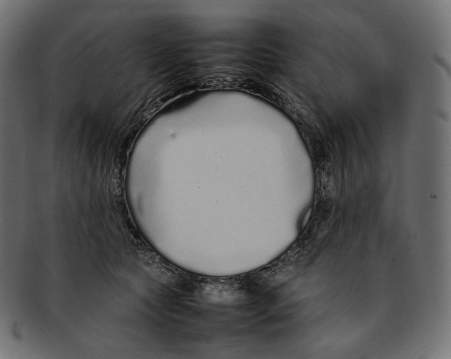 X0000092060561200710101036