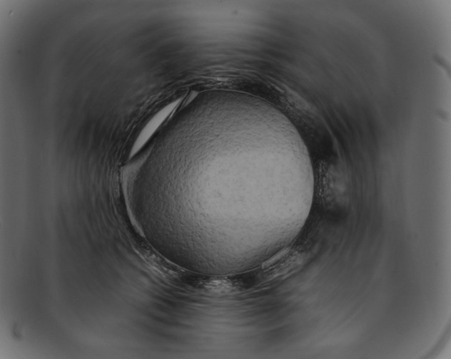 X0000092060562200710101036