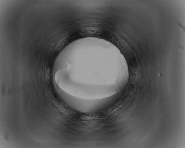 X0000092060563200710101036