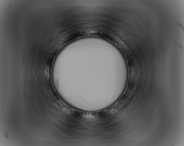 X0000092060565200710101036