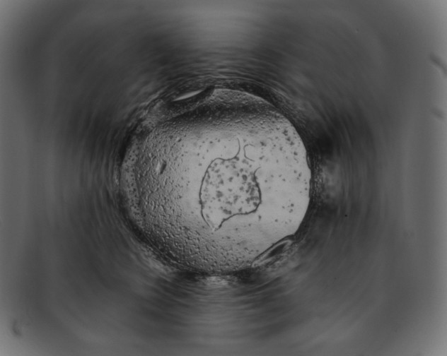 X0000092060566200710101036